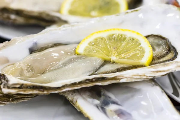 Puesto Tradicional Mercado Pescado Lleno Ostras Frescas Concha — Foto de Stock