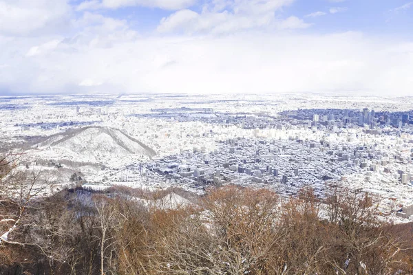 Widok Lotu Ptaka Zimą Liny Hokkaido Japonia — Zdjęcie stockowe
