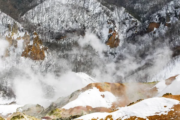 Splendido Paesaggio Jigokudani Hokkaido Giappone Stagione Invernale — Foto Stock