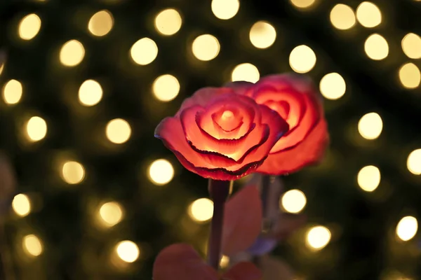 Linternas Flores Campo Por Noche —  Fotos de Stock