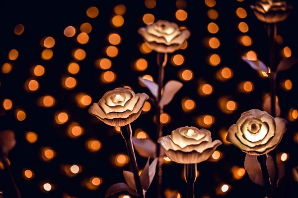 Lanterne Fiori Sul Campo Notte — Foto Stock