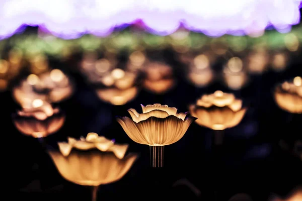 Lanterne Fiori Sul Campo Notte — Foto Stock