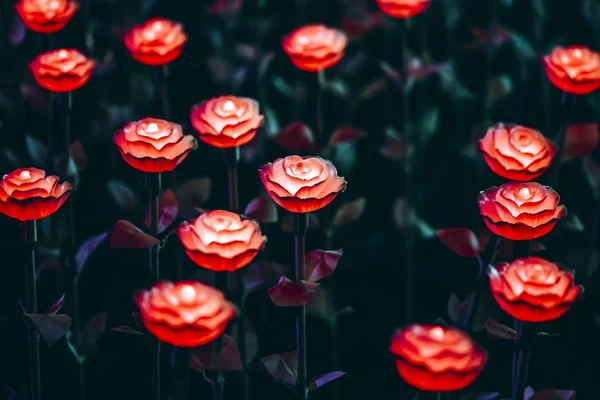 Lanterne Fiori Sul Campo Notte — Foto Stock