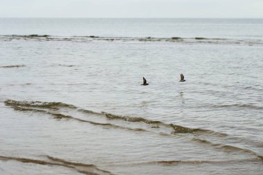 Kumlu sahilde denizin yumuşak dalgası