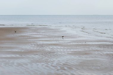 Kumlu sahilde denizin yumuşak dalgası