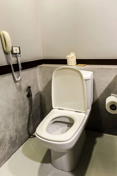 Spoeltoilet Toiletruimte — Stockfoto