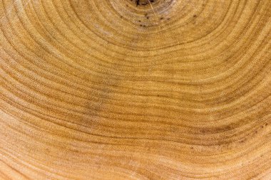 Yakın plan ahşap çizgili arka plan. 