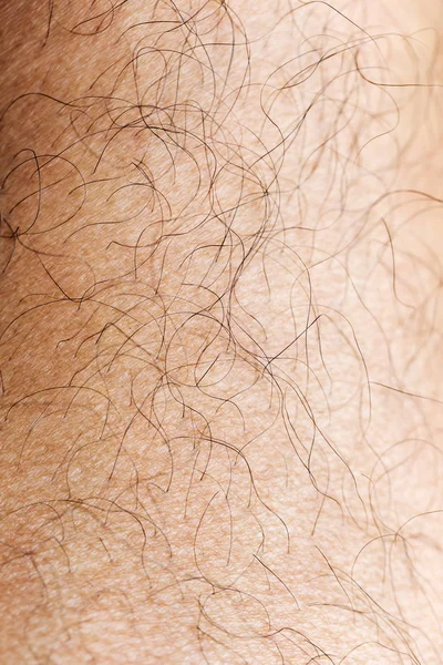 Mans Hairy Leg Macro Shot — Stock Photo, Image