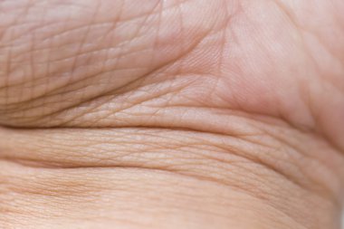 Parmak izi bireyin kimliğini gösterir ve aynı zamanda parmak izi sahibinin kaderini temsil etmek için kullanılır.