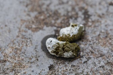 Tavuk gübresi tarımda kullanılmak üzere gübre üretmek için kullanılabilir.