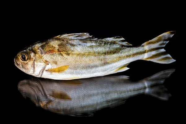 Peixes Marinhos Contêm Nutrientes Que São Essenciais Para Corpo Podem — Fotografia de Stock