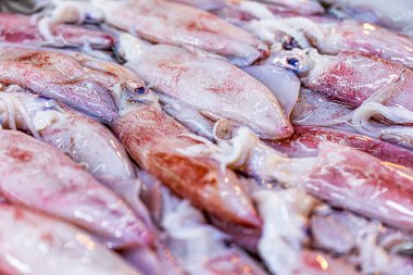 Yerel pazarda kırmızı mürekkep balıkları yaklaşıyor. 