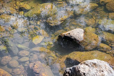 Tayland 'ın tropik yağmur ormanlarında şelale