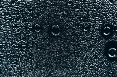 Yağmur mevsiminde su damlacıkları