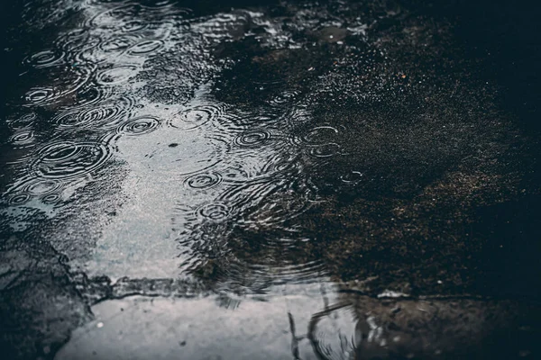 Goccioline Acqua Nella Stagione Delle Piogge — Foto Stock