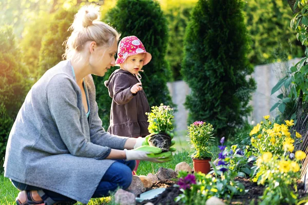 Mutter Und Tochter Pflanzen Gemeinsam Blumen Heimischen Gartenbeet — Stockfoto