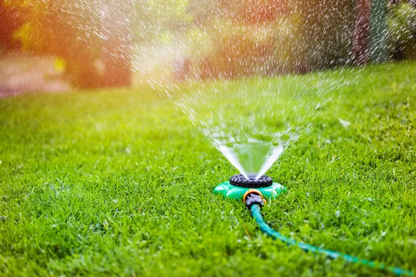 自宅の裏庭の草庭スプリンクラー散水 — ストック写真