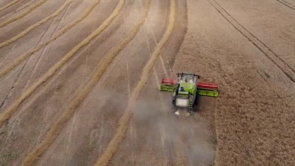 Combine Harvesting Crop Aerial Footage — Stock Video