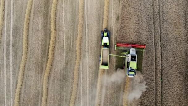 联合收割机和拖拉机工作在谷物领域 空中俯视图 — 图库视频影像