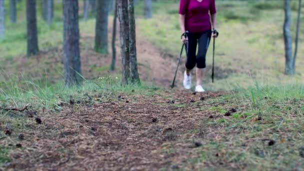 Vrouw Wandelen Het Bos Met Wandelen Van Polen — Stockvideo