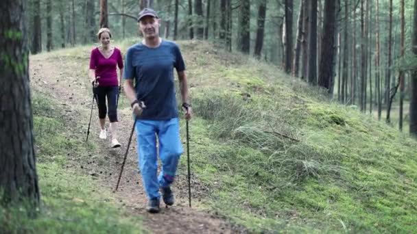 Homem Sênior Mulher Andando Trilha Floresta Com Postes Trekking — Vídeo de Stock