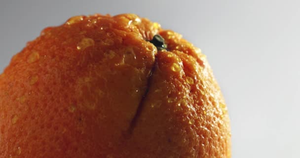 Fruta Naranja Con Gotas Agua — Vídeos de Stock