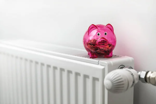 energy efficiency house - piggy bank on the radiator