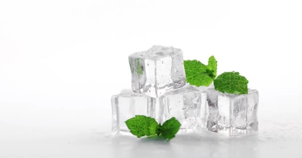 Menta Con Cubitos Hielo Blanco Dolly Disparo — Vídeos de Stock