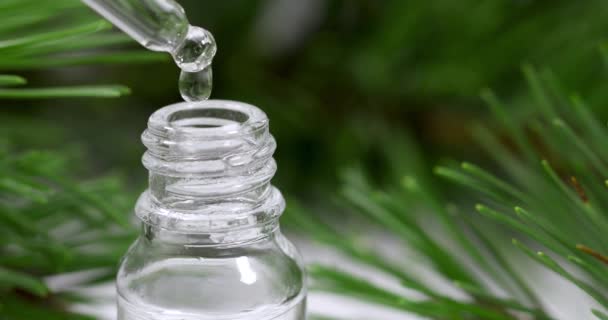 Aromaterapi Eteriska Olja Droppade Från Pipett Liten Flaska — Stockvideo