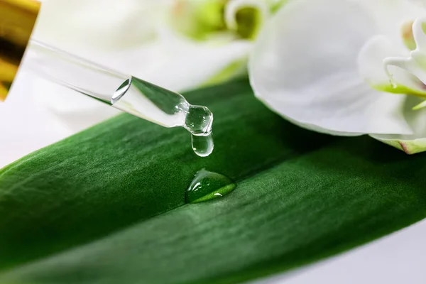 Gota Óleo Essencial Caindo Folha Verde Conta Gotas Vidro — Fotografia de Stock