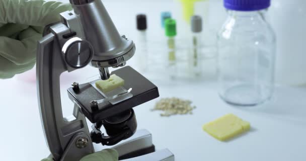 Food Inspection Gmo Concept Scientist Inspecting Cheese Quality Microscope Lab — Stock Video