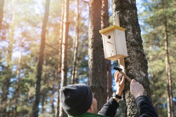 Uomo inchiodare birdhouse sul tronco d'albero nella foresta — Foto Stock