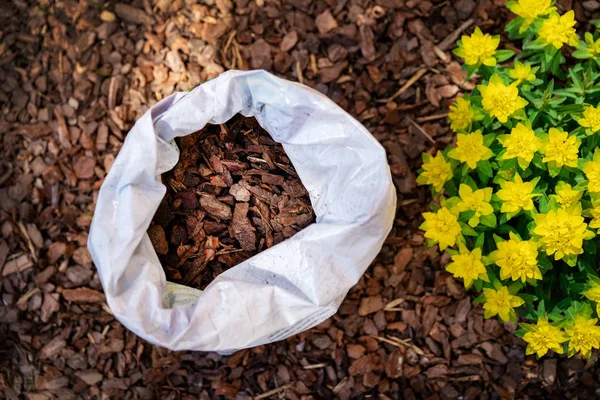 Mulching blomma säng med Pine Tree bark kompost — Stockfoto