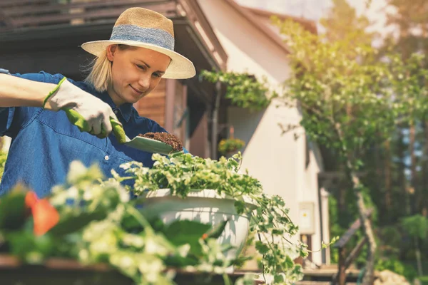 Glückliche junge Frau pflanzt Sommerblumen im Topf zu Hause — Stockfoto