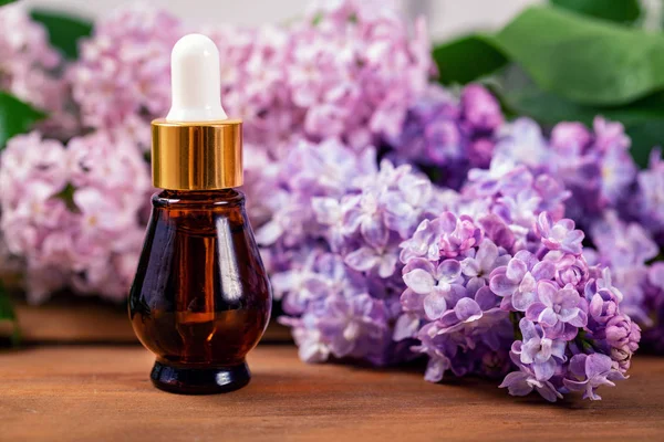 lilac essential oil bottle with blooming lilac branch