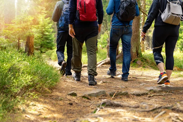 Aventuras na natureza - grupo de amigos caminhando na floresta com costas — Fotografia de Stock