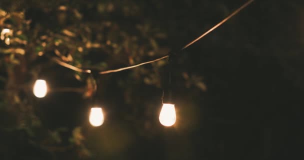 Outdoor Party String Lights Hanging Line Backyard Dolly Shot — Stock Video