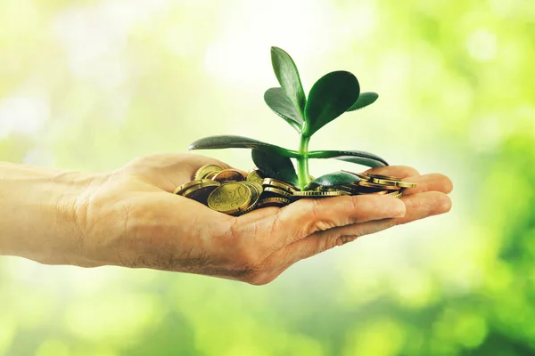 Geldgroei en investerings concept. hand met munten en kleine plant — Stockfoto