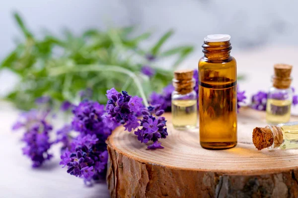 Bouteilles d'huile essentielle à base de plantes et fleurs de lavande fraîche — Photo