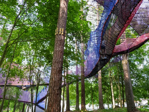 treetop net trampoline park in forest