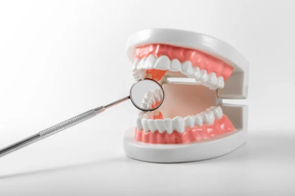 Tänder modell och Dental Mirror på vit bakgrund — Stockfoto