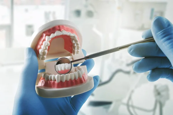 Здоров'я зубів - стоматолог з моделлю зубів і дзеркалом — стокове фото