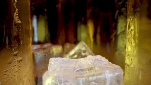 Buz Küplü Soğuk Bira Şişeleri Yakın Plan Doli Çekim — Stok video