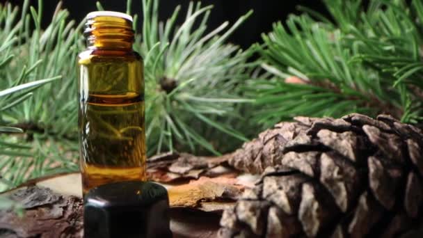 Alternative Medicine Organic Pine Essential Oil — Stock Video
