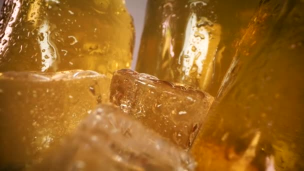 Botellas Cerveza Fría Con Cubitos Hielo Gotas Agua Primer Plano — Vídeos de Stock