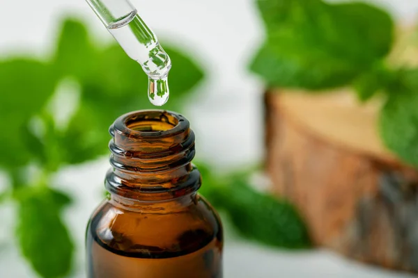 Mint essential oil drop falling from dropper into the bottle — Stock Photo, Image