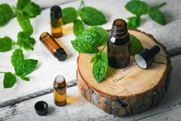 Tratamento de aromaterapia - garrafas de óleo essencial com folhas de hortelã — Fotografia de Stock