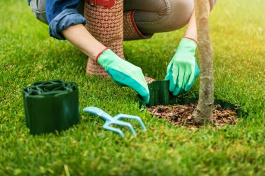 Bahçıvan bahçedeki ağacın etrafına plastik çimen döşedi.