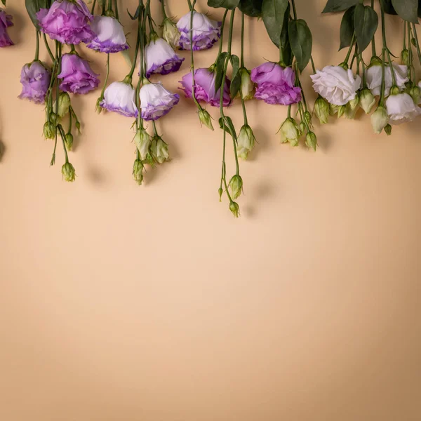 Flores Lisianthus Sobre Fondo Beige Pastel Con Espacio Para Copiar —  Fotos de Stock