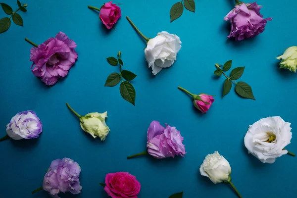 Papel Parede Floral Rosas Flores Lisianthus Fundo Azul — Fotografia de Stock